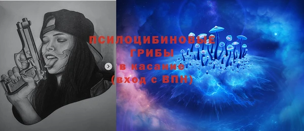 2c-b Новозыбков