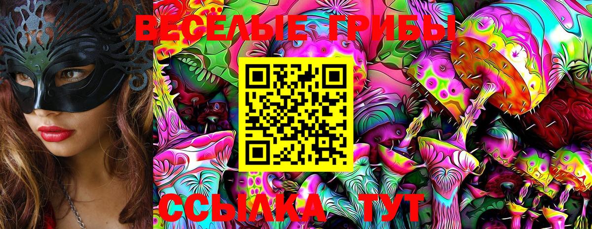 Галлюциногенные грибы Cubensis Рузаевка